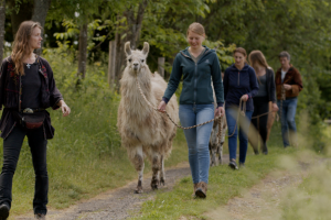 Durch Lama-Wanderungen zu Gott und sich selbst finden: Bild zeigt eine Gruppe von Menschen, die Lamas führt